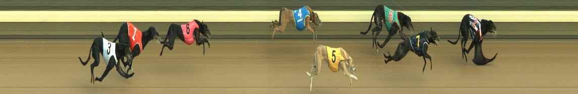 Race result finish photo